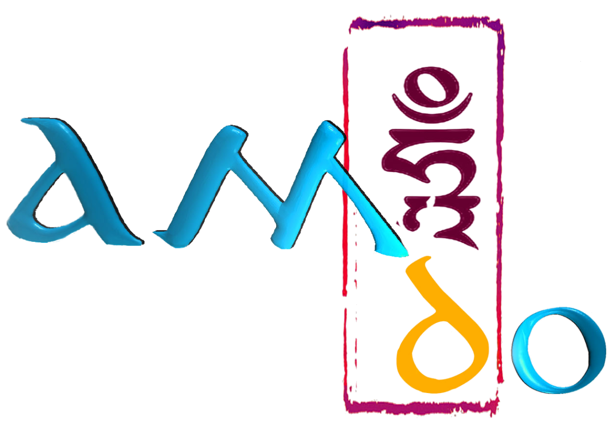 amdo Consulting